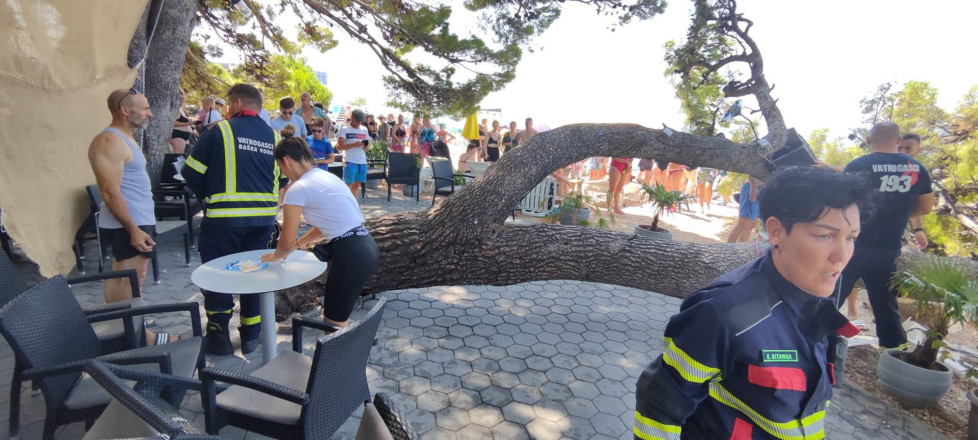 Drama u Baškoj Vodi: Na plažu palo stablo, četvero ozlijeđenih