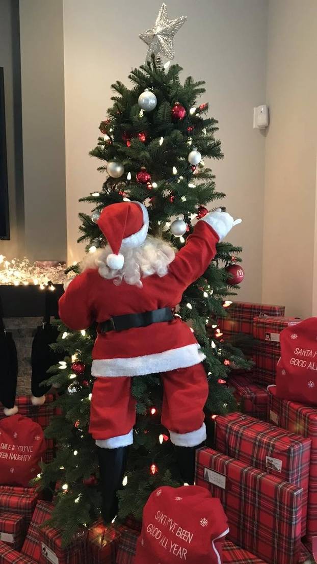 FOTO Ovakve borove još niste vidjeli! Okrenuti naopako, neki su haljine, a neki čak i mačke!