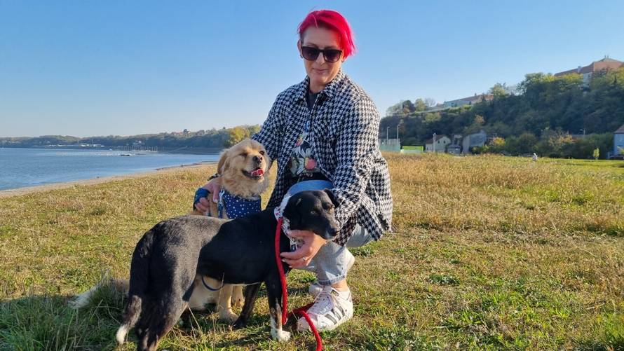 Vukovarka Melita našla je dom za više od 400 pasa: 'Oni ne mogu pozvoniti i tražiti pomoć'