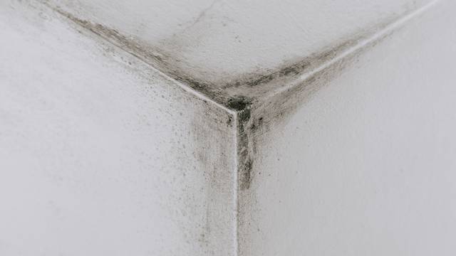 Mold,From,Condensation,On,The,Walls,Corner,In,The,Room