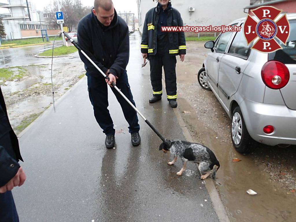 JPVP Grada Osijeka