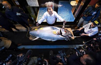 Super-tuna koštala 1,8 mil. $! Platio 43.000 kn po kilogramu