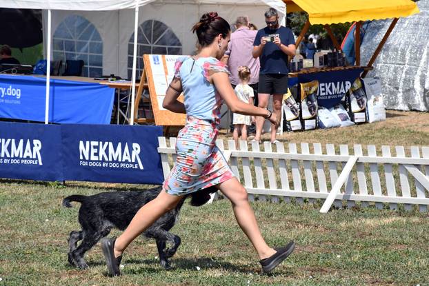 Požega: Nacionalna izložba pasa "CAC Požega 2024."