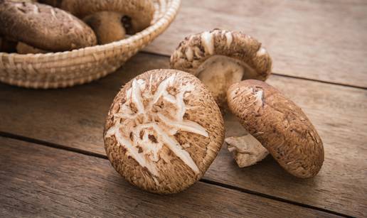 Shiitake gljive jačaju imunitet, a jelima daju posebnu aromu