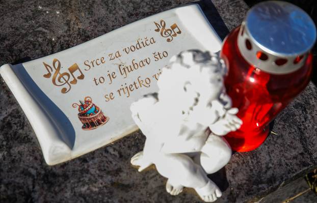 Zagreb: Groblje kućnih ljubimaca u Dumovcu obišao je jedino jedan mačak