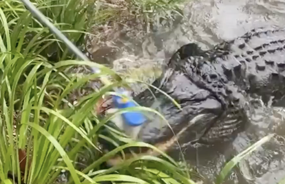 Krokodili pokušavaju pobjeći iz parka za divlje životinje