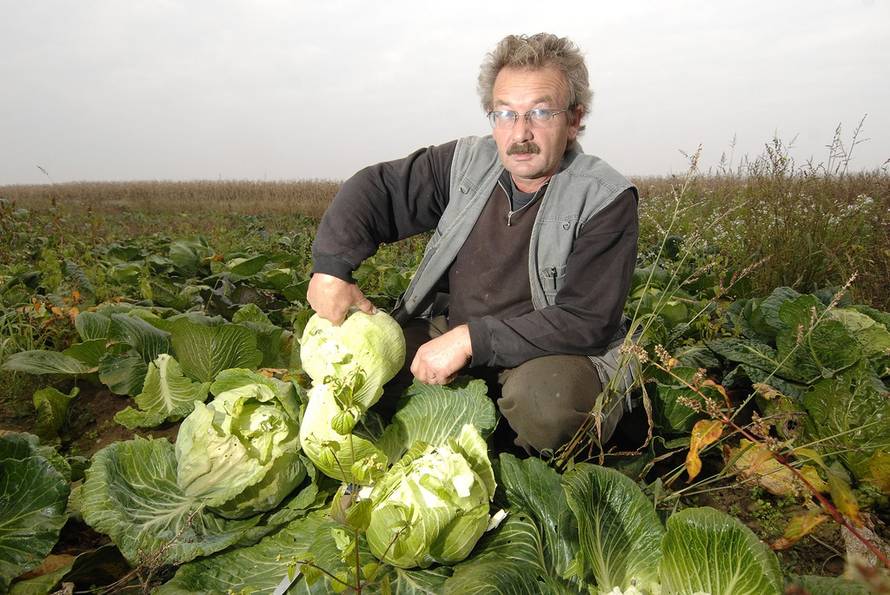 Vjeran Žganec Rogulja/PIXSELL