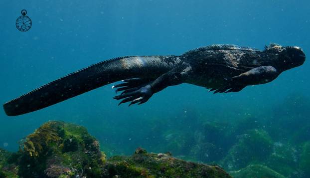 FOTO Tvrdi da je vremenski putnik iz 2501. godine: 'Veliki grad nestaje s lica Zemlja...'