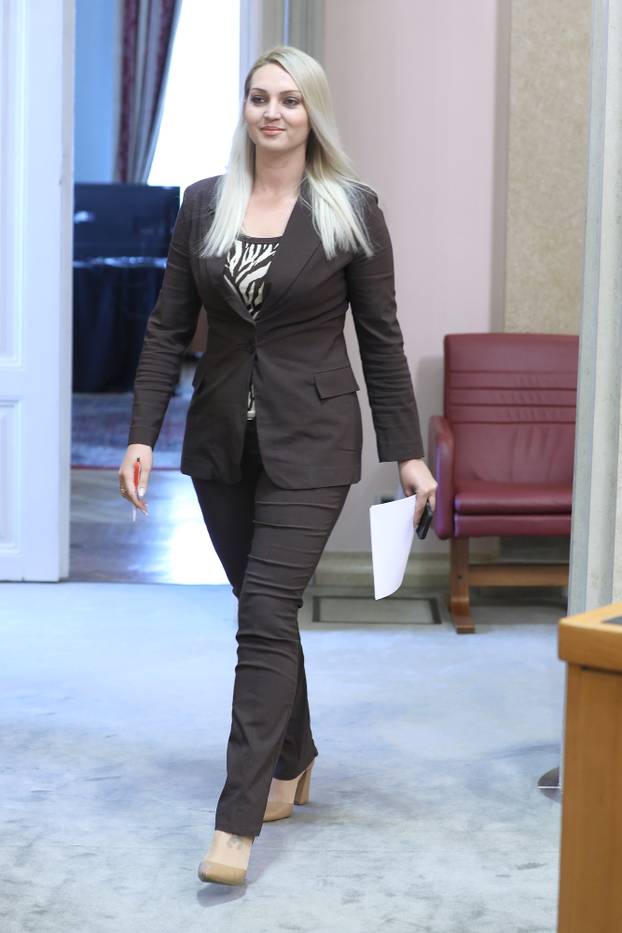 Sjednica Sabora nastavljena raspravom o izmjenama i dopunama Zakona o sigurnosti prometa na cestama