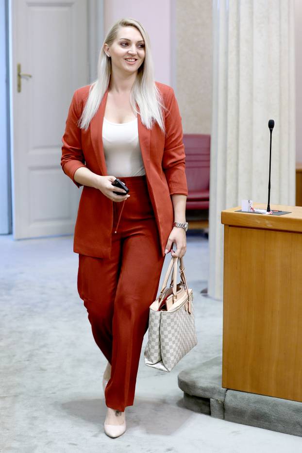 Sabor sjednicu nastavio raspravom o borbi protiv širenja terorističkog sadržaja na internetu