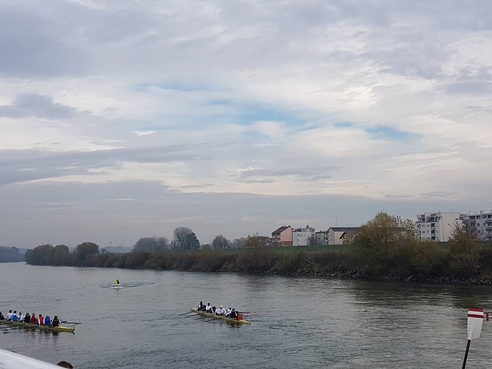 Regata osmeraca na rijeci Savi: Sinkovići u pobjedničkoj ekipi