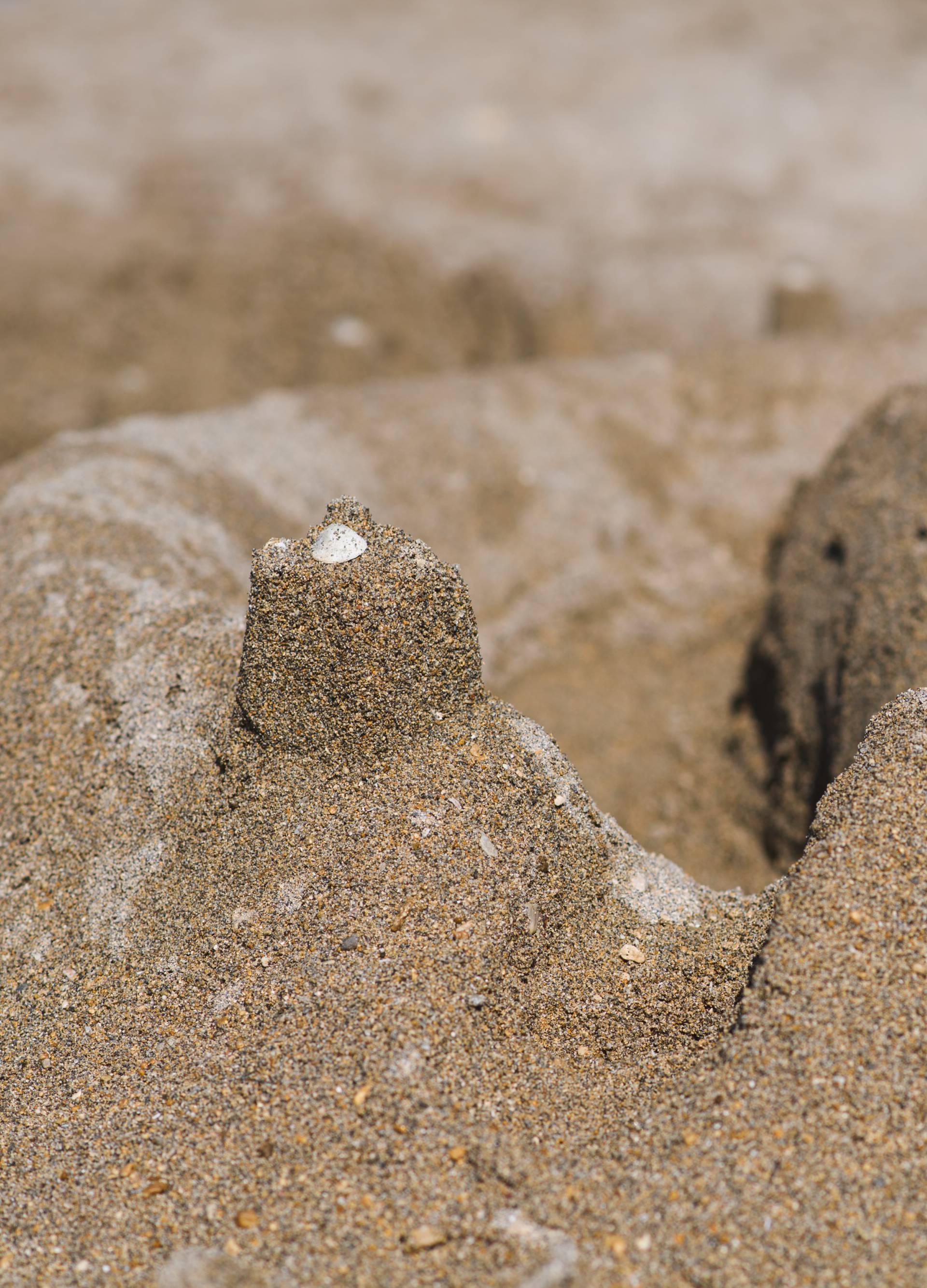 Prekrasne skulpture od pijeska uljepšale poznate plaže u Ninu