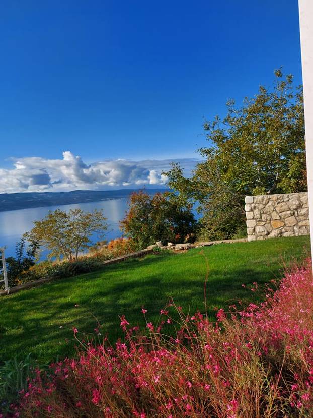 FOTO Ovo je Budimirova vila Pokora: Na ilegalnom katu su biljar i terasa, bazen će rušiti...