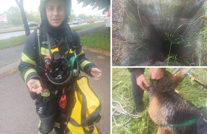 Pas upao u 10 metara dubok šaht, izvukli su ga vatrogasci