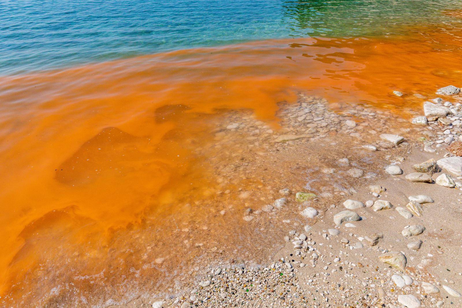 Cvjetanje mora na pojedinim pulskim plažama