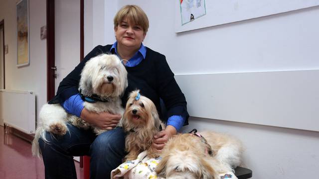 Terapijski psi pomažu djeci kod mucanja i pretrpljenih trauma