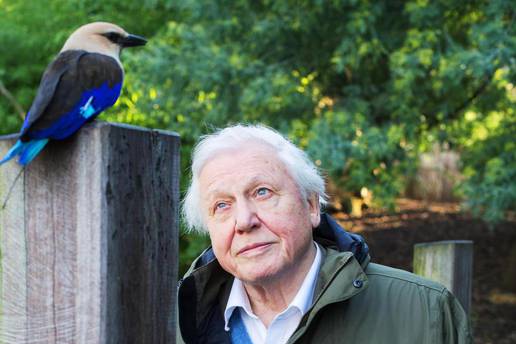 Sir David Attenborough, šaptač ranjenoj Zemlji: Posljednji poziv u pomoć planetu koji vrišti...