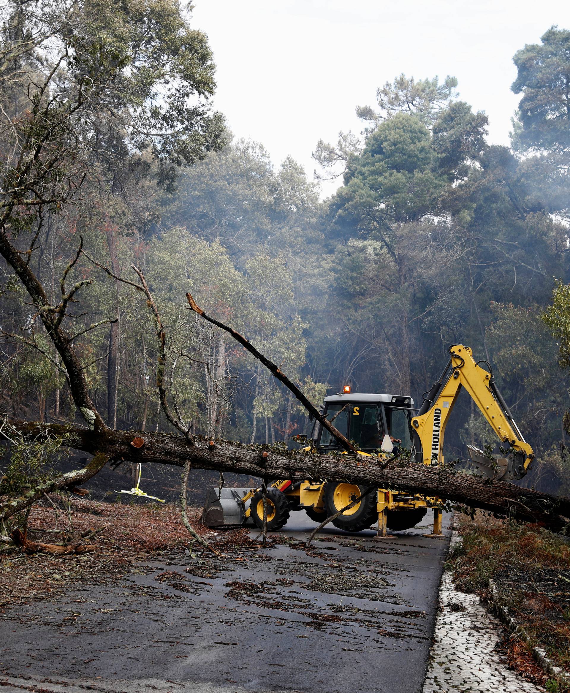 An excavator tries to remove a tree from a road after a forest fire near Marinha Grande