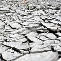 Jugozapadom Sjeverne Amerike hara milenijska suša, najgora je u posljednjih 1200 godina