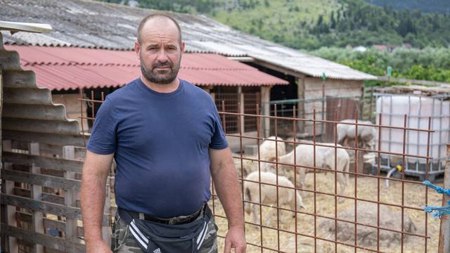 Zažablje: Zdenku Barišiću vukovi su zaklali stado ovaca