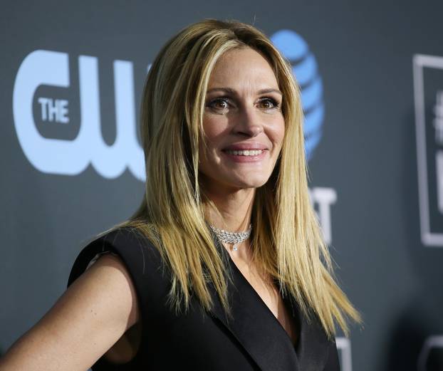 FILE PHOTO: Julia Roberts at 24th Critics Choice Awards, Santa Monica, California, U.S., in 2019