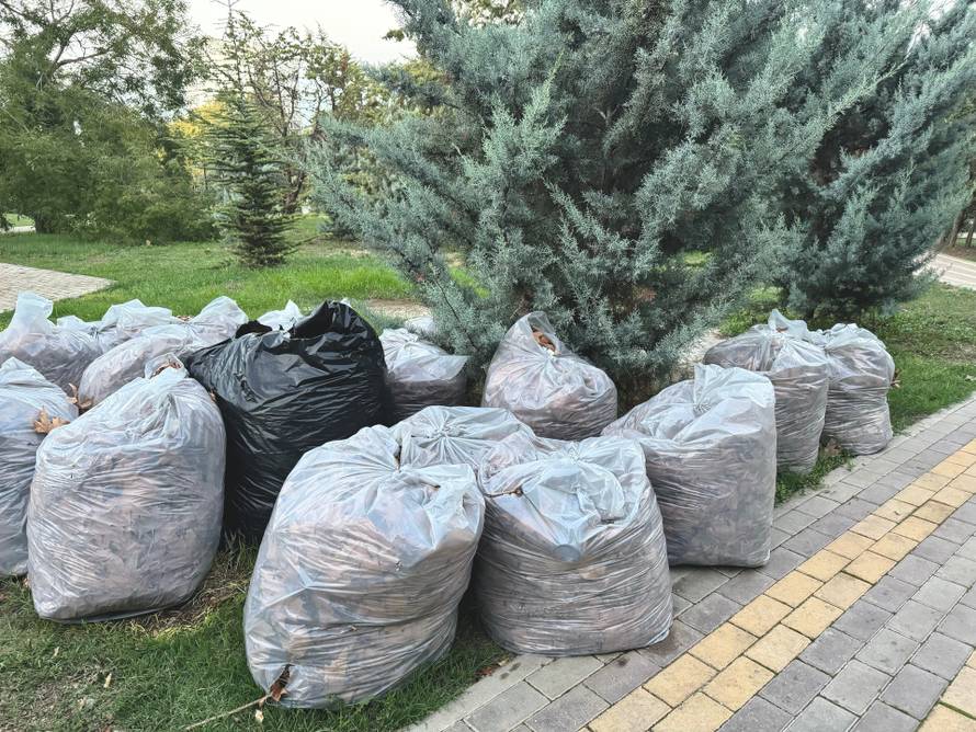Many,Transparent,Bags,With,Collected,Dry,Leaves,In,The,Park.