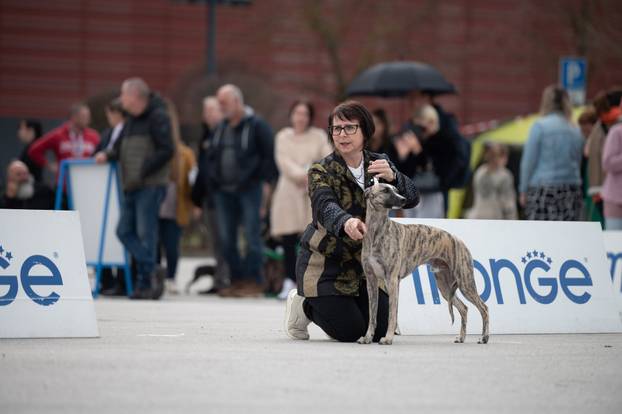 U Zaprešiću održana CAC nacionalna izložba pasa
