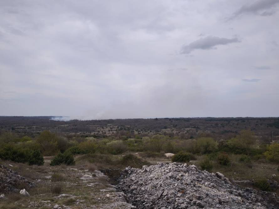 BUKTINJA U ISTRI Izgorjelo 10 hektara trave i raslinja. 'Ako bude potrebe, dižemo kanader'