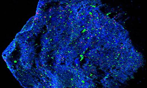 TAJNE SVEMIRA Znanstvenici na asteroidu otkrili misteriozne minerale kojih nema na Zemlji