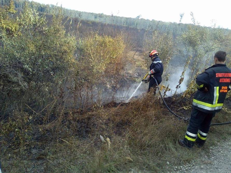 Planula mlada hrastova šuma: Koncesionar će platiti odštetu?