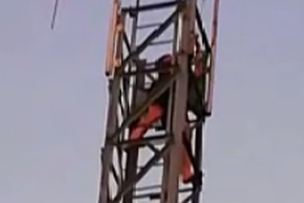 Video iz Vukovara: Popeo se na 30 metara da bi spasio vranu...