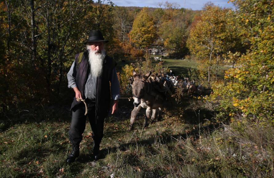 Posljednji pastiri: Ma nema nama do koza, brda i mlijeka