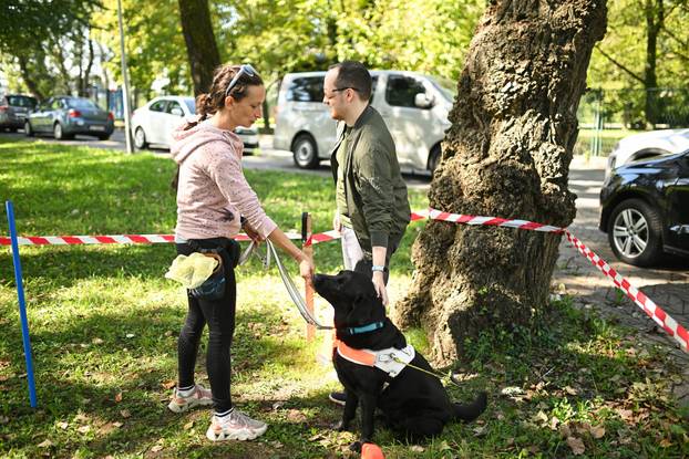 Zagreb: Ekotlon festival zelenih navika, poligon - Udruga za školovanje pasa vodiča