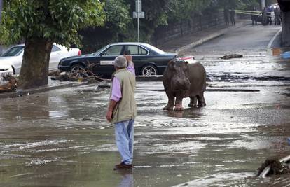 Poplave oslobodile životinje iz ZOO-a, poginulo je već 12 ljudi  
