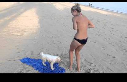 Zaslužio je keks: Psić na plaži pokušao djevojci skinuti bikini