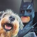 Volonter se odjeva u Batmana i spašava napuštene životinje