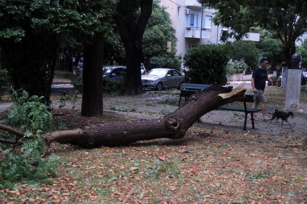 Nevrijeme poharalo Split, vatrogasci imaju pune ruke posla