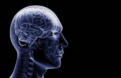 Je li vam mozak zdrav? Lagan test pomaže da to otkrijemo 