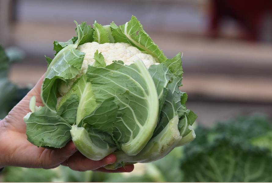 8 razloga zašto jesti cvjetaču: Čuva od bolesti, ali i debljanja