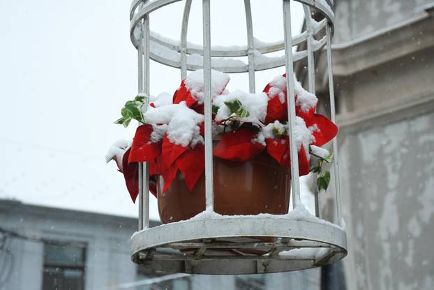 Snijeg zabijelio ulice u Sisku