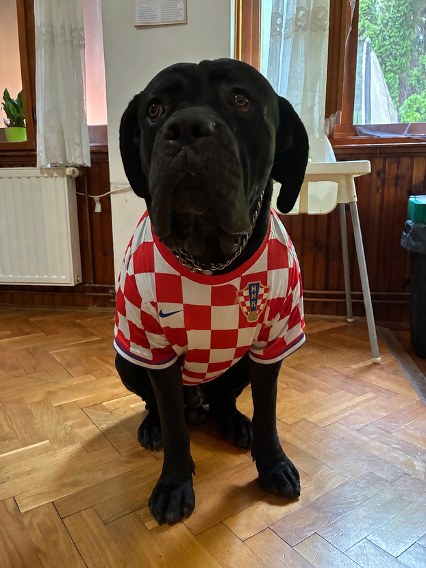ŠAPE GORE! Ovako navijaju za repku ljubimci naših čitatelja