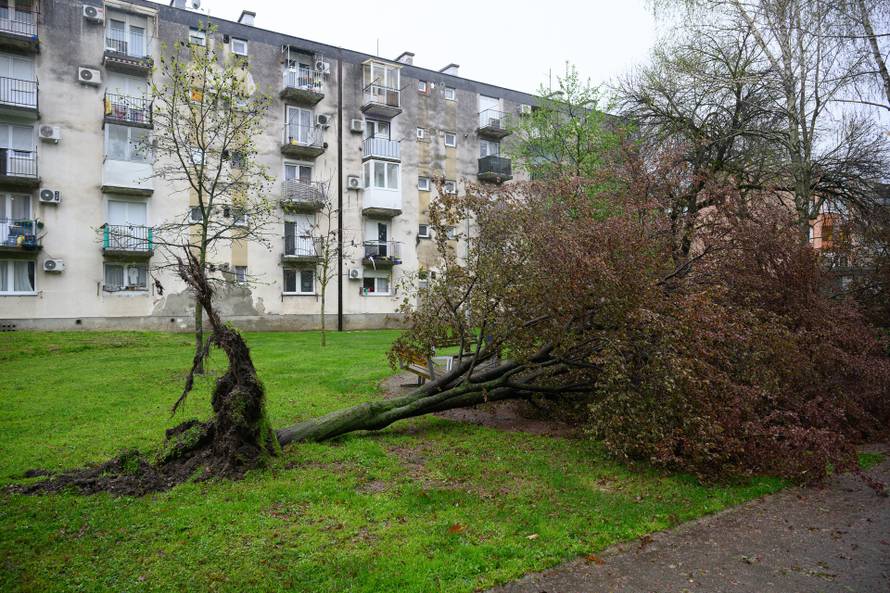 Zagreb: Olujni vjetar poharao Špansko, dignuti krovovi i isčupana stabla 