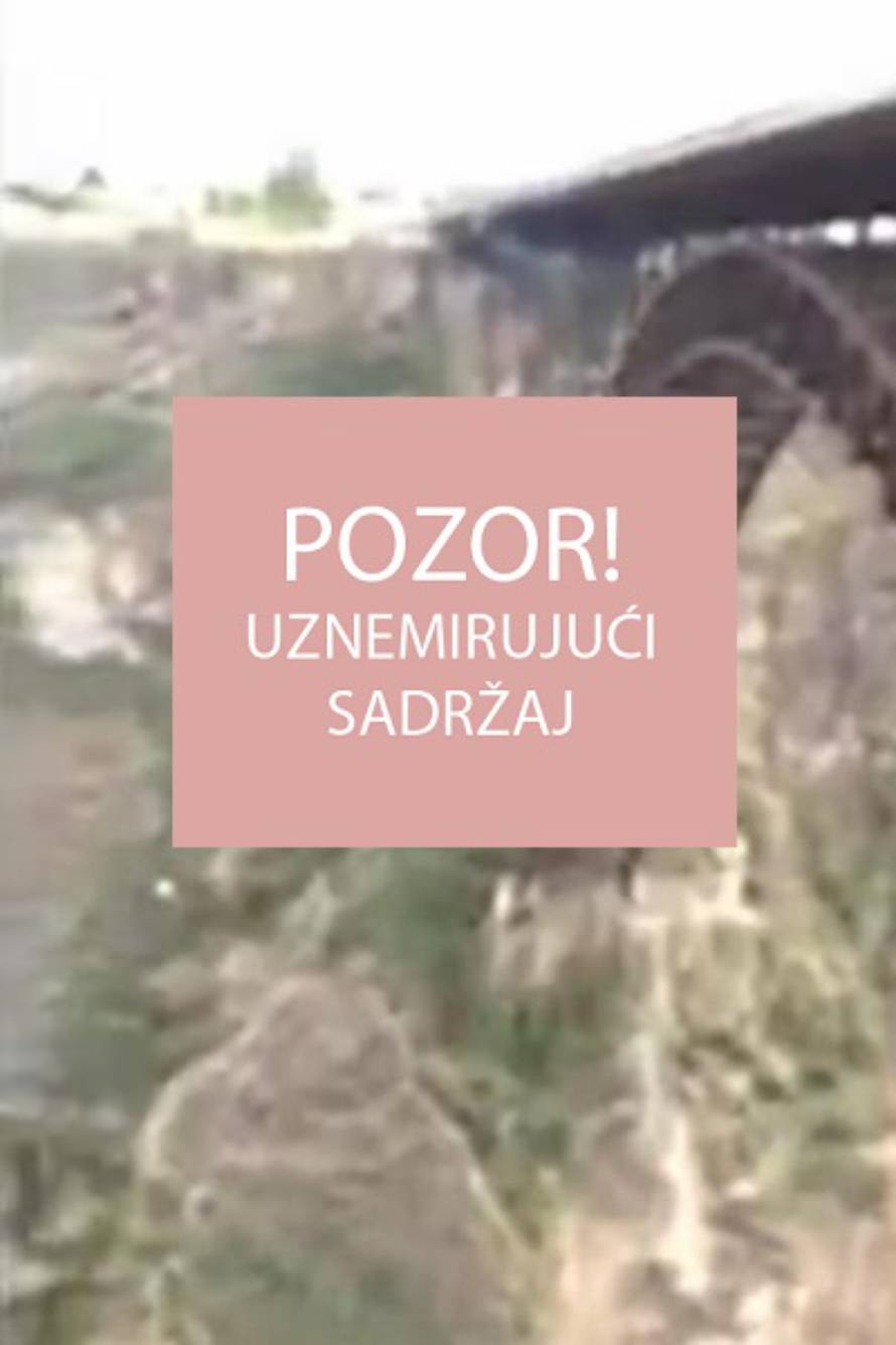 Screenshot/YouTube/LiveLeak