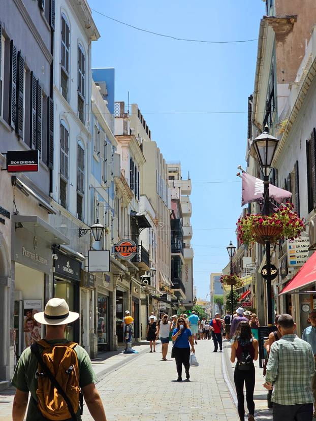 FOTO Majmuni su nam skakali po glavama na Gibraltaru i jeli iz ruke. Mame su pokazale zube