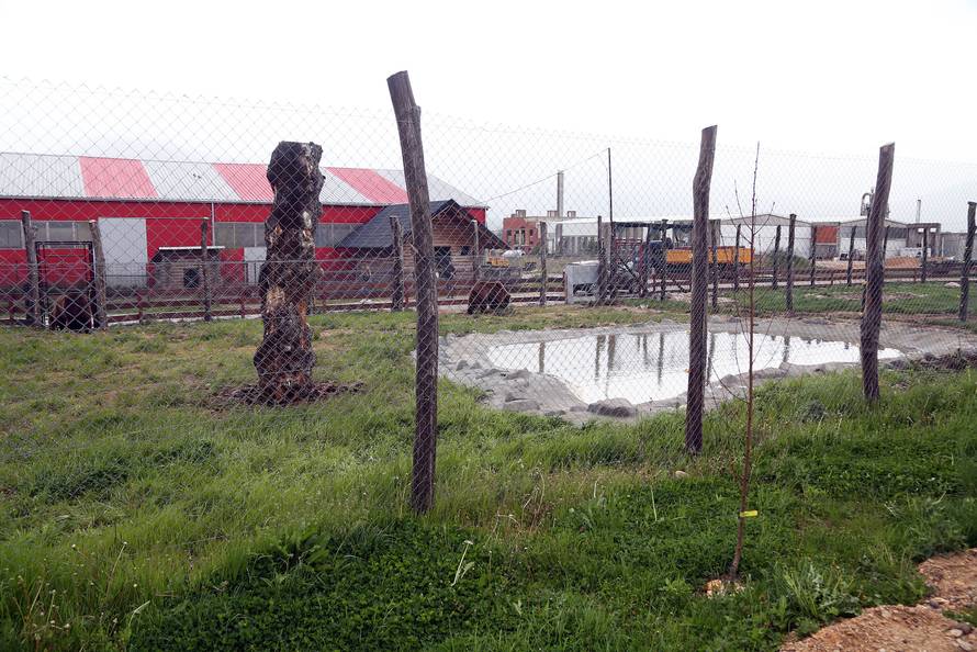 'I kako da se sada rastanem od medvjeda? Pa to su moje bebe'