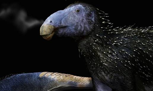 Otkrili novu vrstu dinosaura