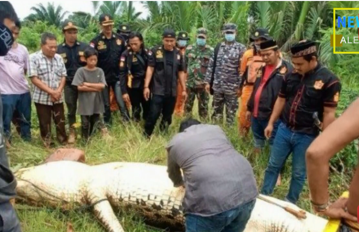 Krokodil progutao dječaka (8) pred njegovom obitelji. Otac očajnički pokušao spasiti sina