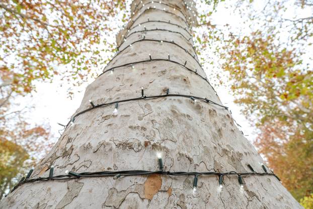 Zagreb: Zasvjetlile prve adventske lampice u parku Zrinjevac