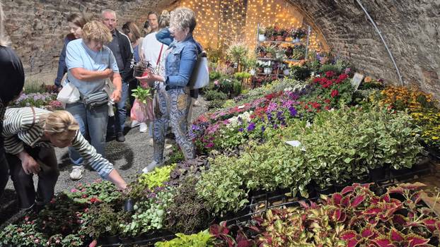 FOTO Cvjetni spektakl u Slavonskom Brodu: Florafest okupio više od 50 izlagača