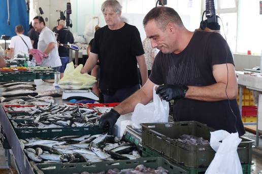 FOTO Svi misle da srdela nema, ali ribarnica u &Scaron;ibeniku ih je puna! Kila ide ve&cacute; za 5 eura